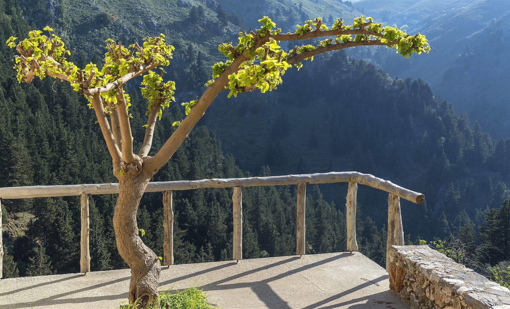 Apirathes Residence Zourva Экстерьер фото